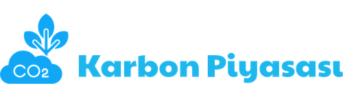 Karbon Piyasası